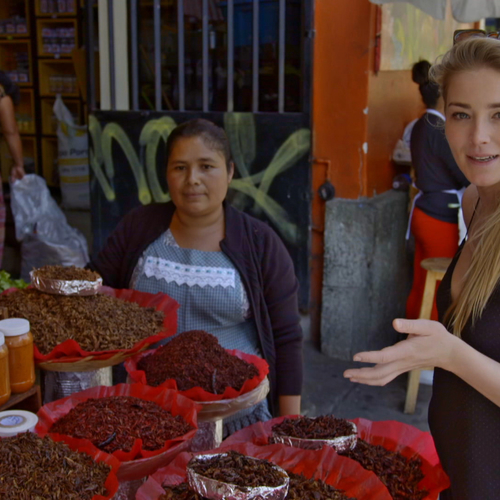 VIDEO: Zou jij deze insecten eten?