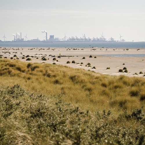 Weekendtip: uitwaaien op het experimentele strand van Den Haag