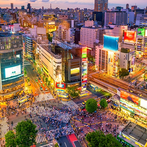 Ontdek het immens geliefde Tokyo