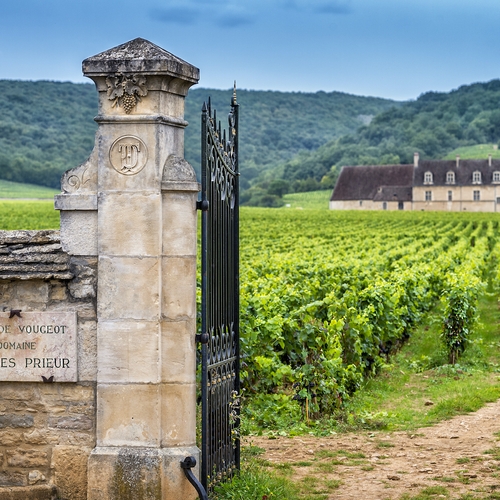 Afbeelding van Het Franse Bourgondië biedt meer dan de fameuze wijnen