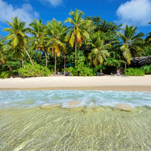 Ontsnap naar Jamaica met deze tropische Instagram Live-serie