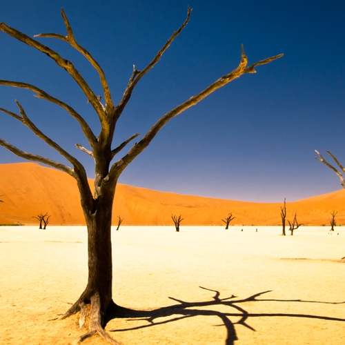 Afbeelding van Dit zijn de mooiste plekken van Namibië