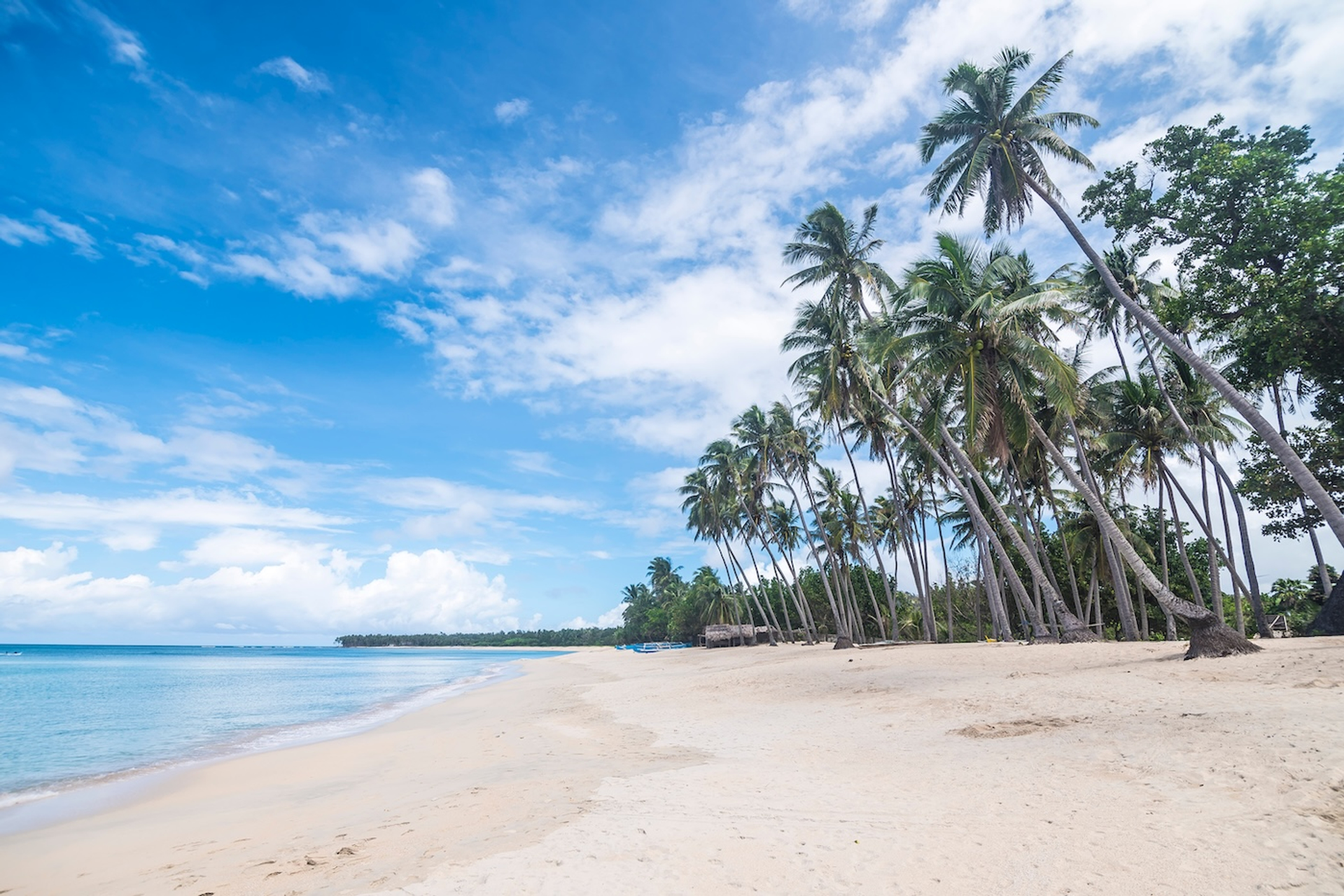 shutterstock_1522689152-1759393069