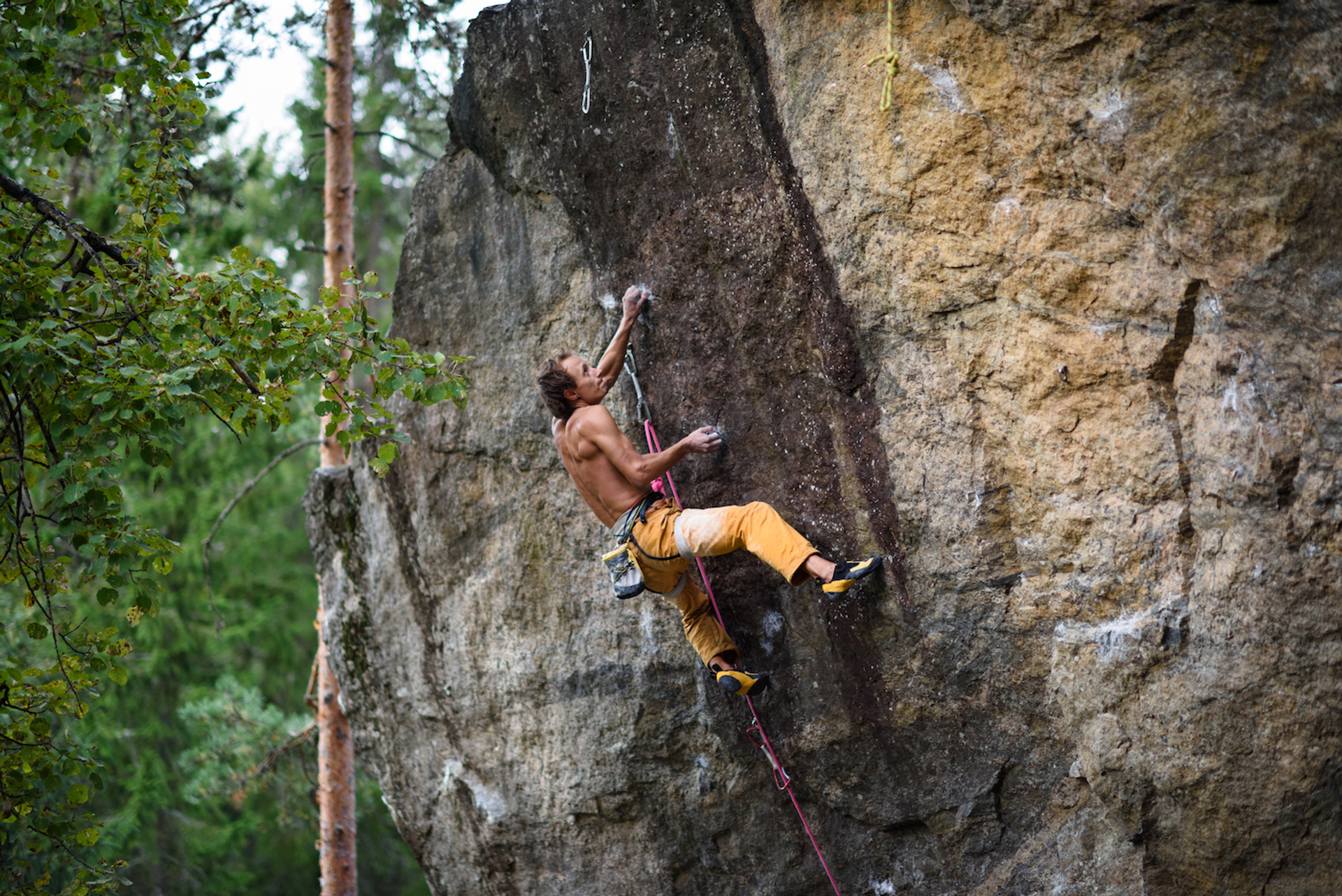 shutterstock_509578201-1691408443