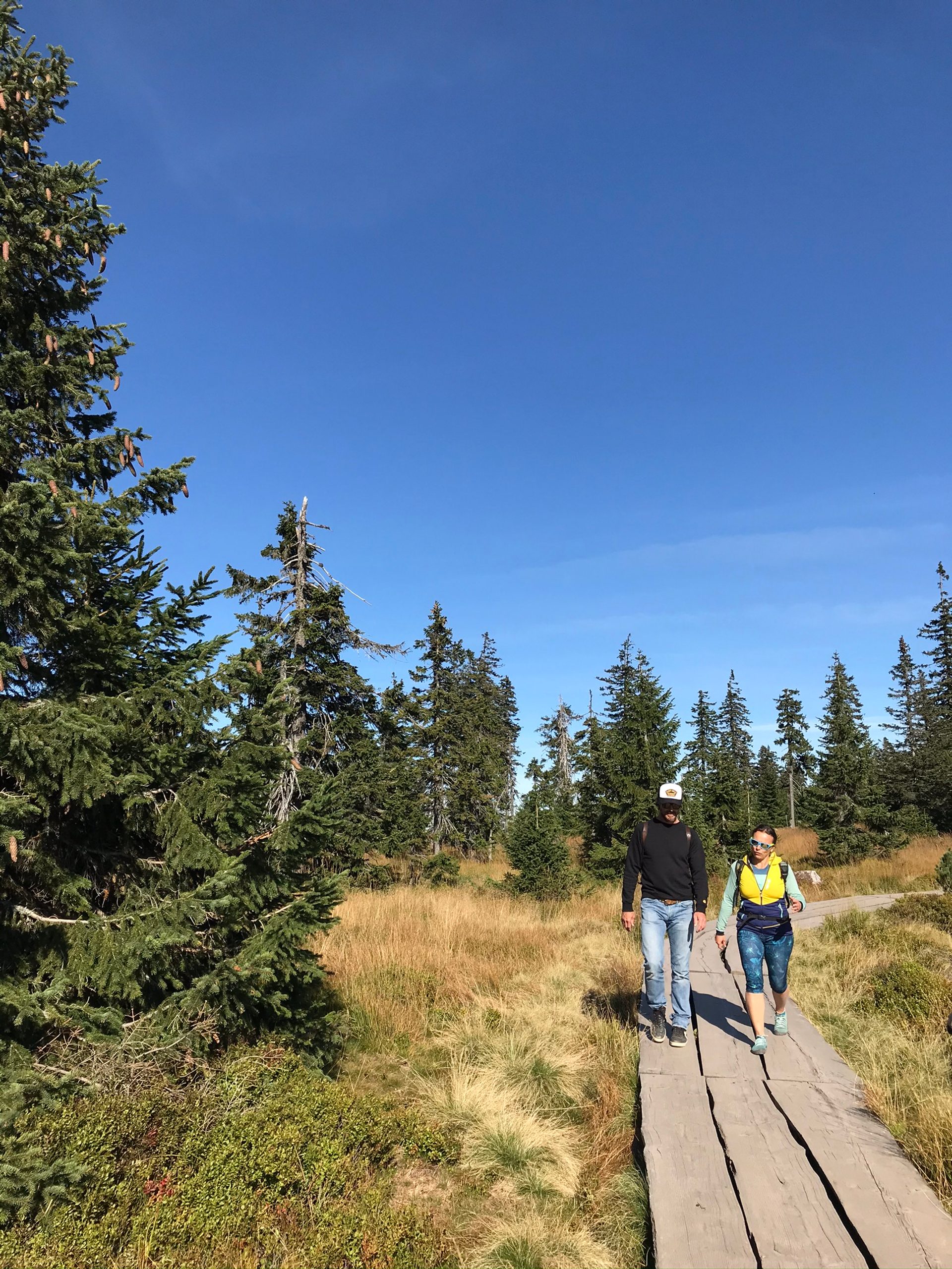 Reuzengebergte2-1610630499